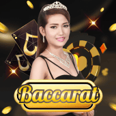 Baccarat table game cover